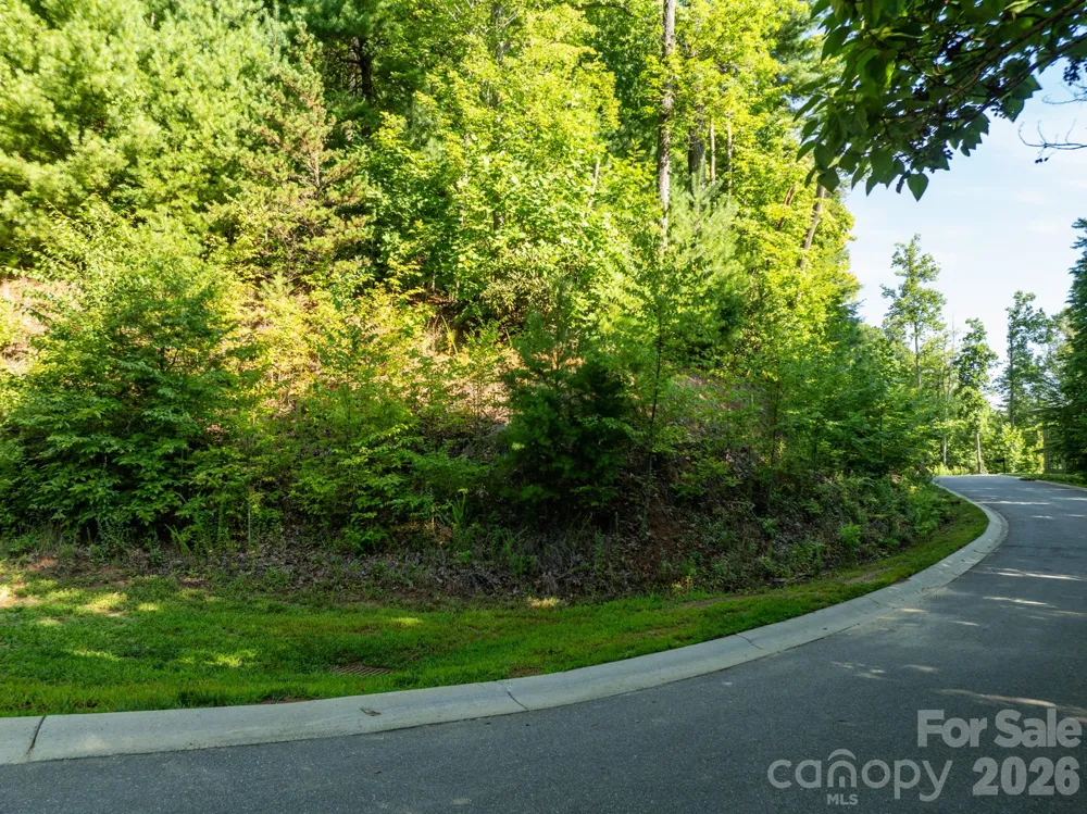 59 Old Greybeard Loop Black Mountain, NC 28711