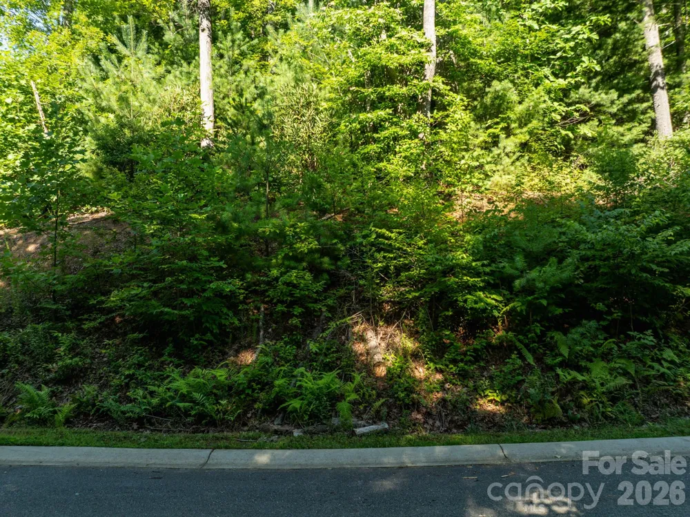 59 Old Greybeard Loop Black Mountain, NC 28711