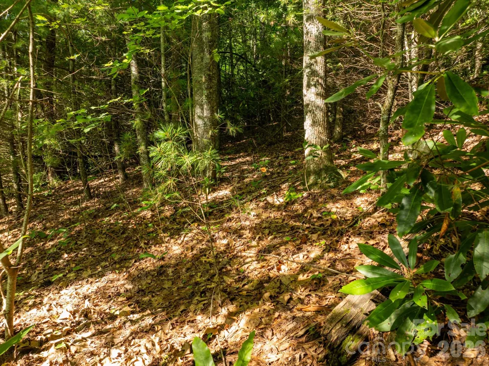 59 Old Greybeard Loop Black Mountain, NC 28711