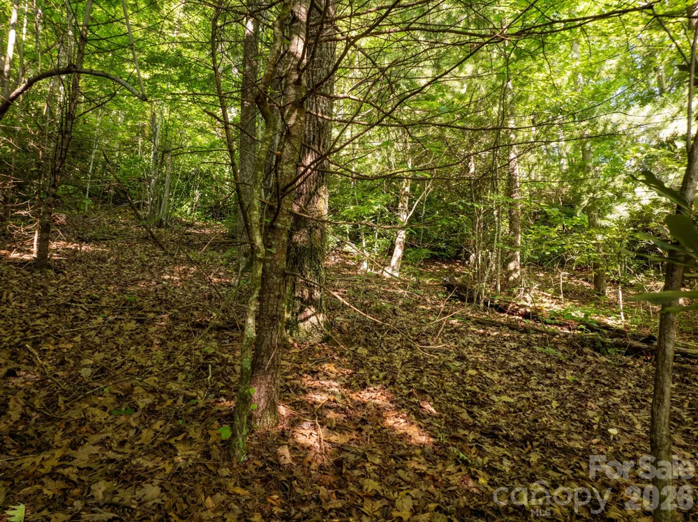 59 Old Greybeard Loop Black Mountain, NC 28711