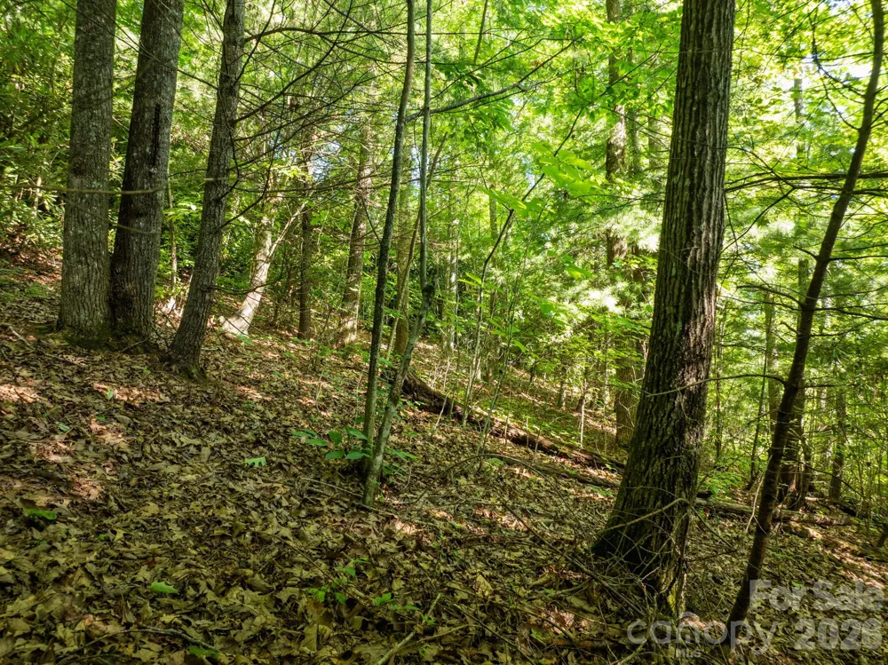 59 Old Greybeard Loop Black Mountain, NC 28711