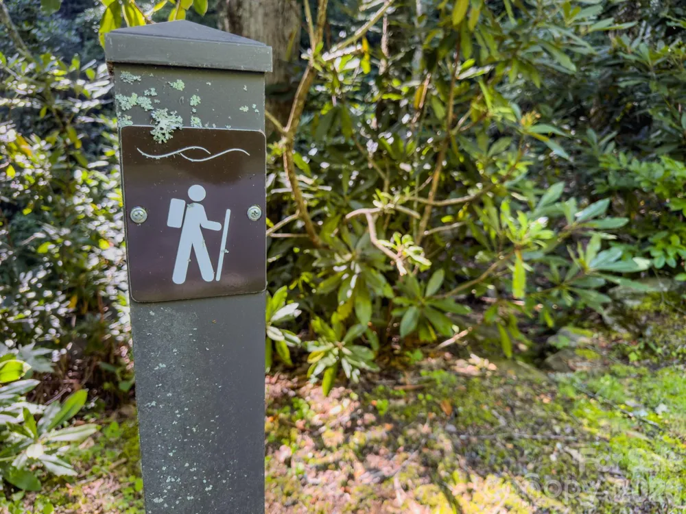 59 Old Greybeard Loop Black Mountain, NC 28711