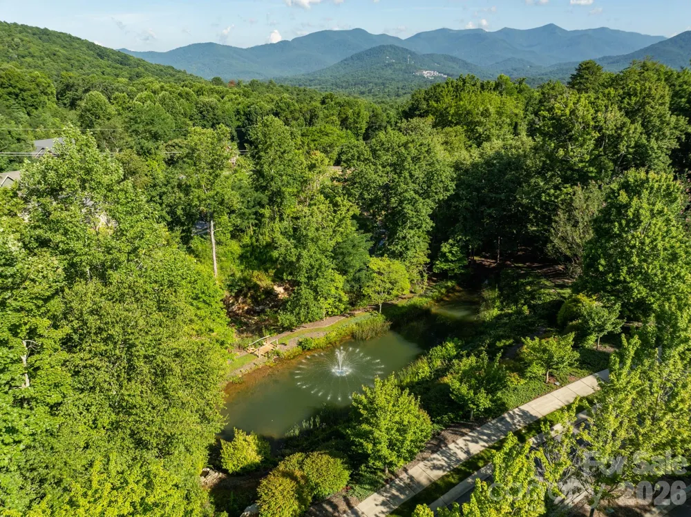 59 Old Greybeard Loop Black Mountain, NC 28711