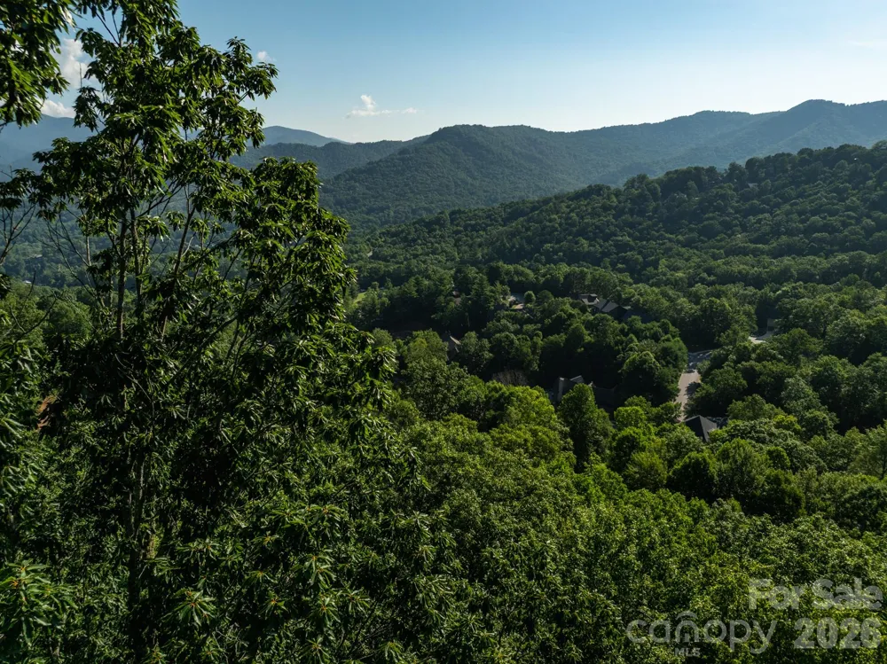 59 Old Greybeard Loop Black Mountain, NC 28711