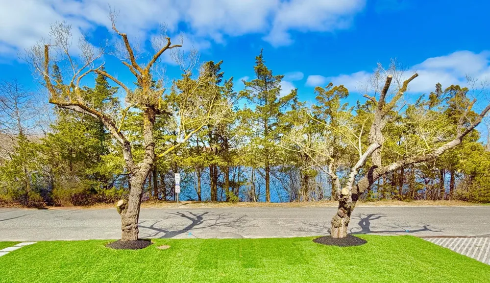 605 E Lake Drive Cape May Point, NJ 08212