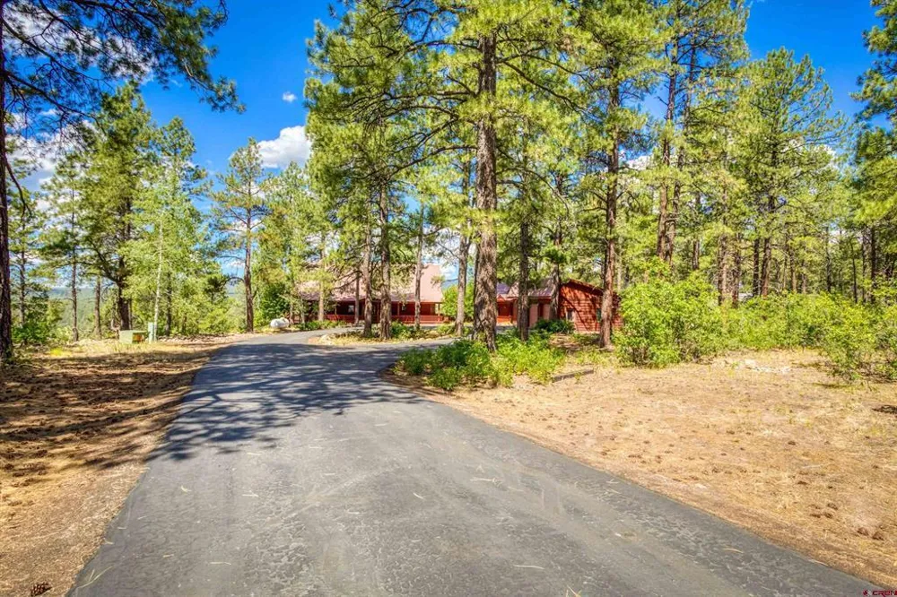 103 Cameo Court Pagosa Springs, CO 81147