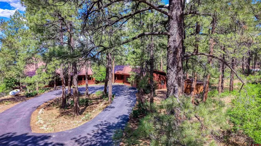 103 Cameo Court Pagosa Springs, CO 81147
