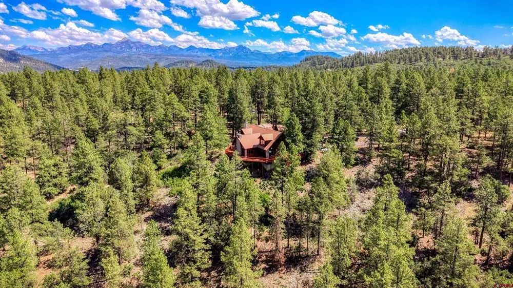 103 Cameo Court Pagosa Springs, CO 81147