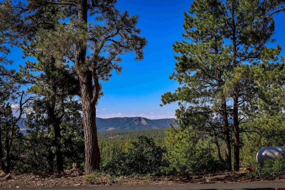 103 Cameo Court Pagosa Springs, CO 81147