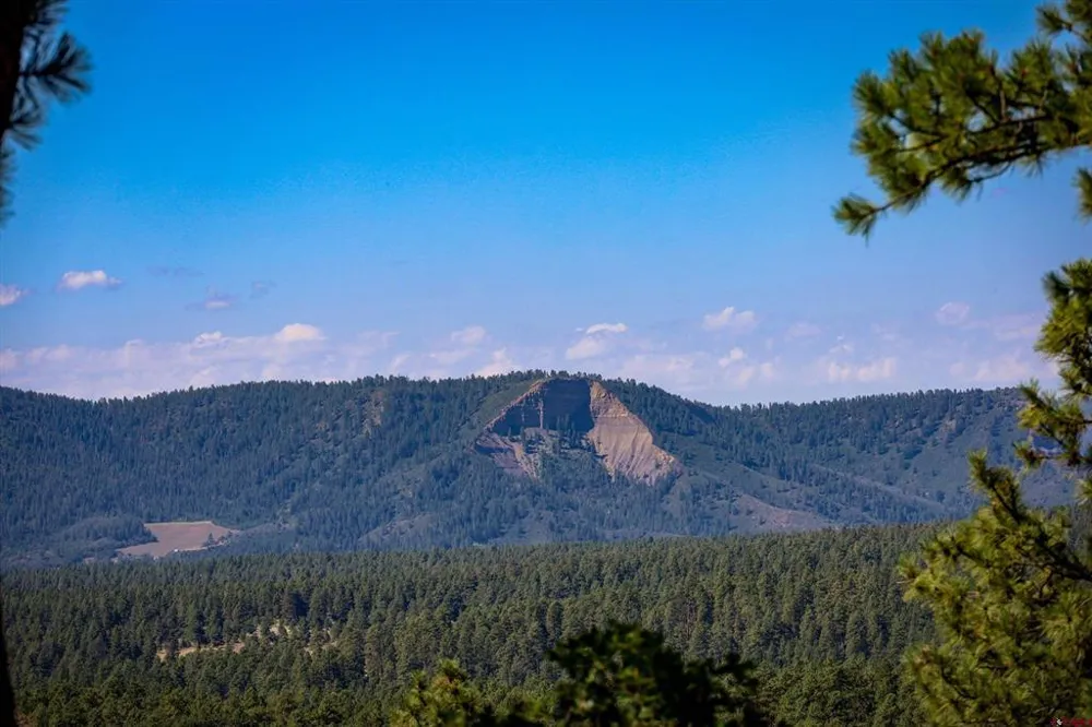 103 Cameo Court Pagosa Springs, CO 81147