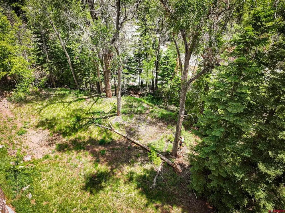 County Road 17 Ouray, CO 81432