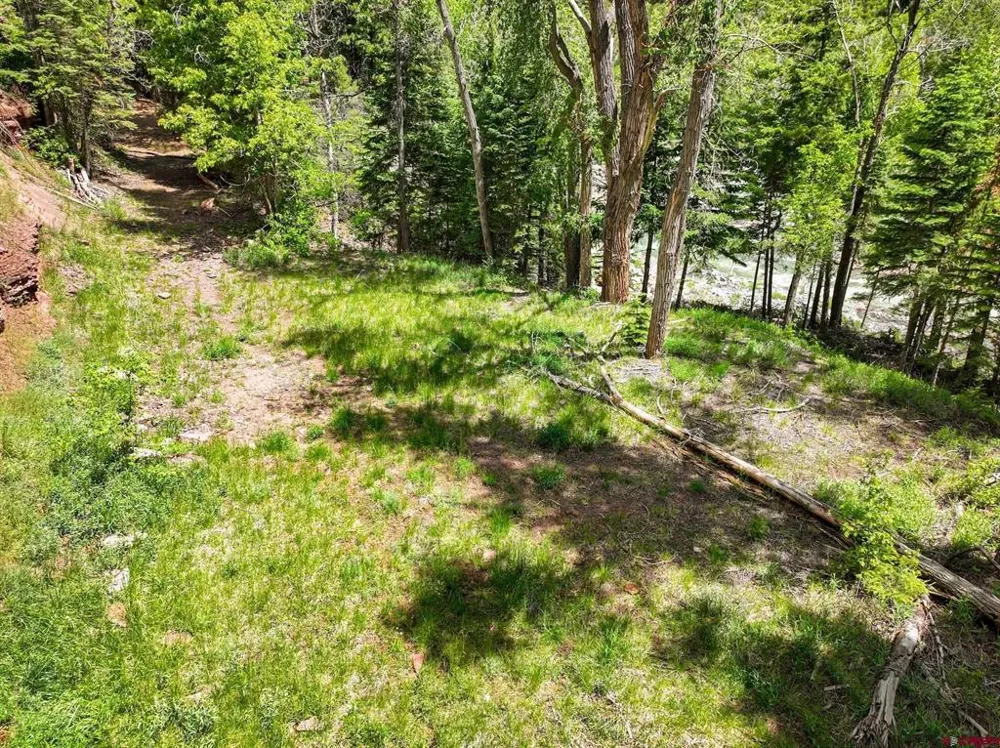 County Road 17 Ouray, CO 81432