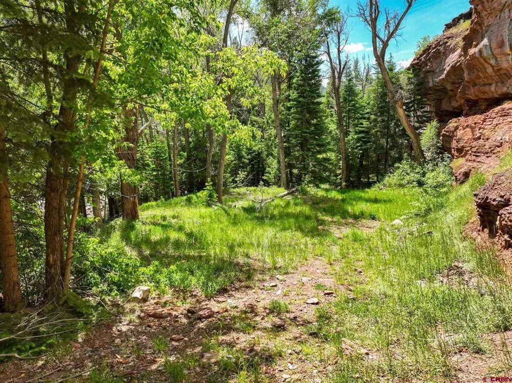 County Road 17 Ouray, CO 81432