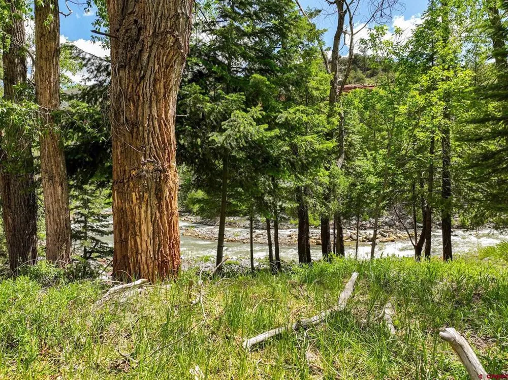 County Road 17 Ouray, CO 81432