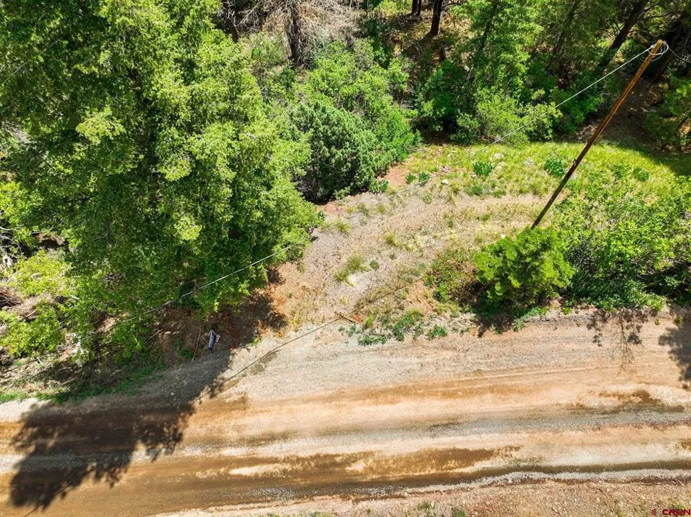 County Road 17 Ouray, CO 81432