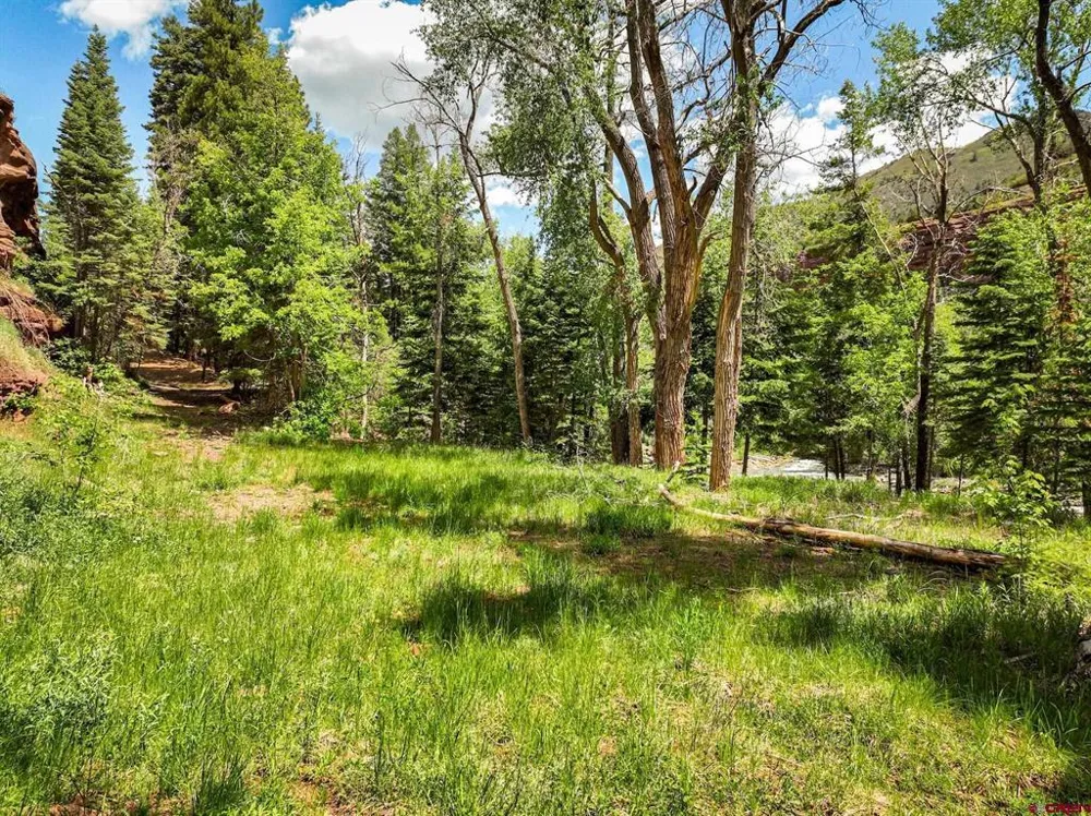 County Road 17 Ouray, CO 81432