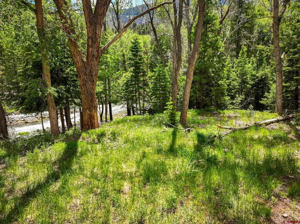 County Road 17 Ouray, CO 81432