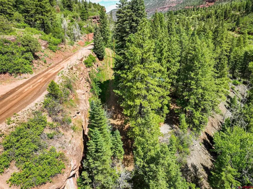County Road 17 Ouray, CO 81432