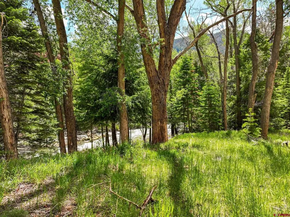 County Road 17 Ouray, CO 81432