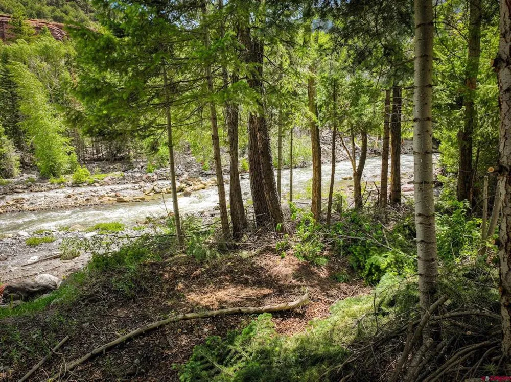 County Road 17 Ouray, CO 81432