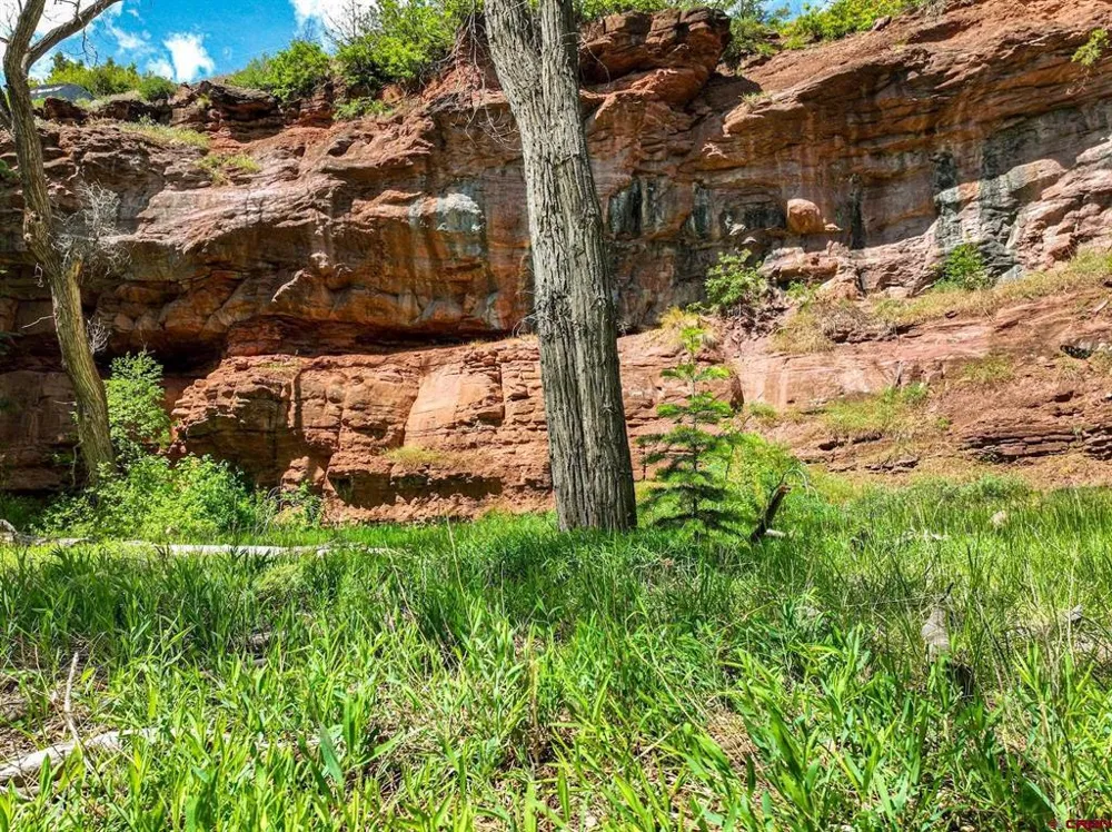 County Road 17 Ouray, CO 81432