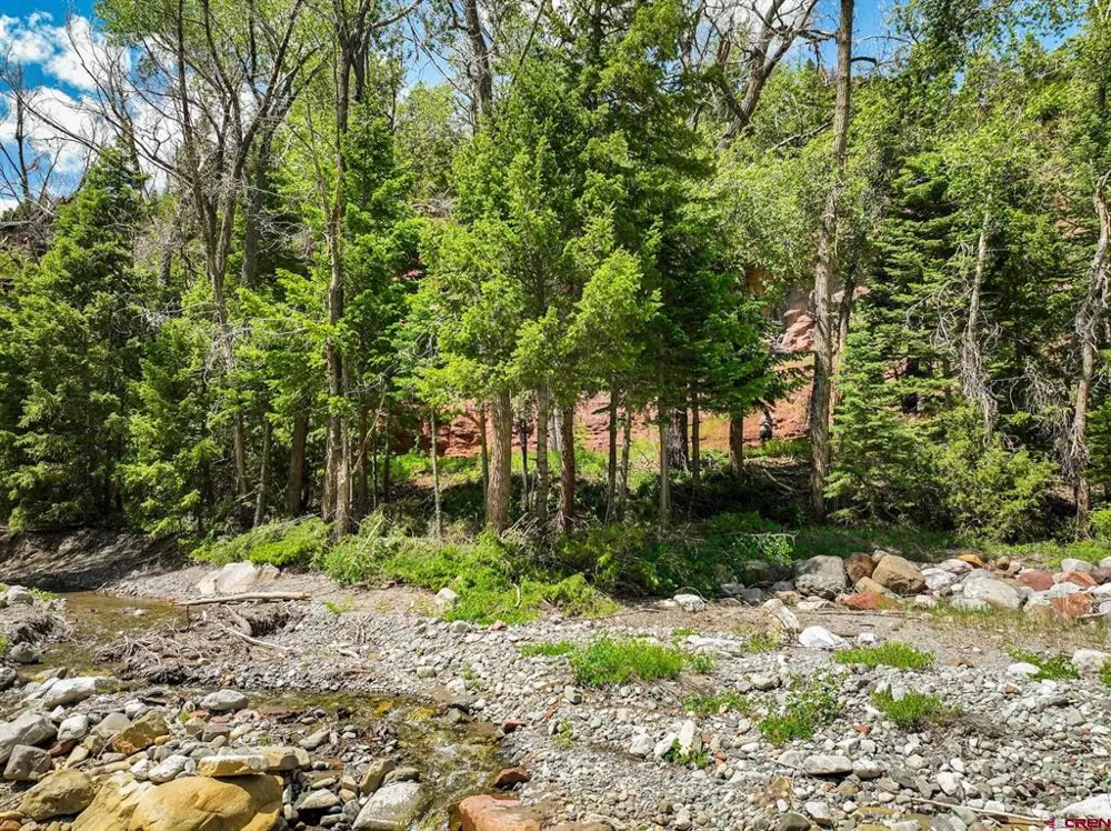 County Road 17 Ouray, CO 81432