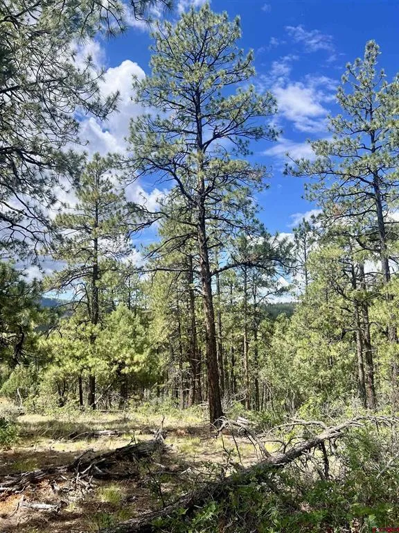 75 Rocky Ridge 2 Pagosa Springs, CO 81147