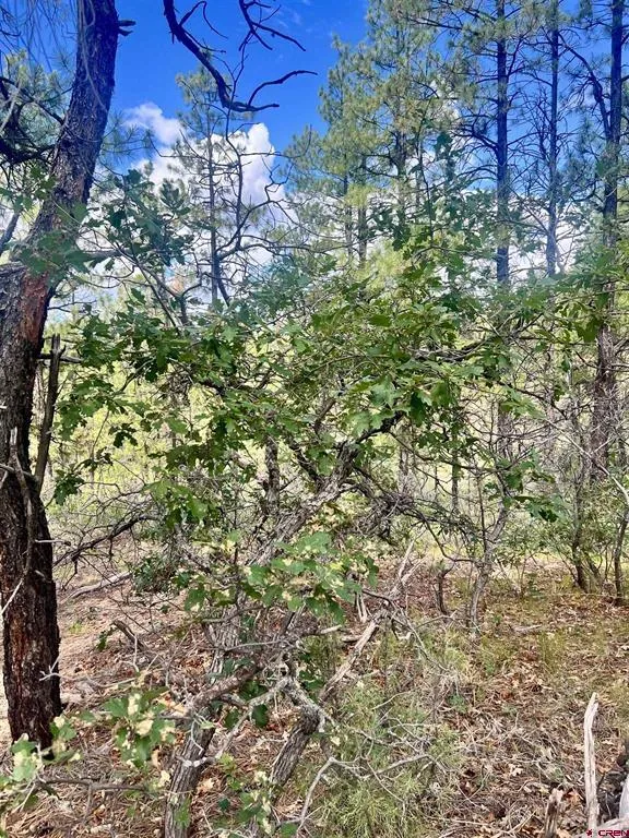 75 Rocky Ridge 2 Pagosa Springs, CO 81147