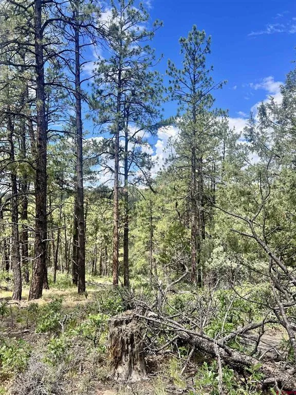 75 Rocky Ridge 2 Pagosa Springs, CO 81147