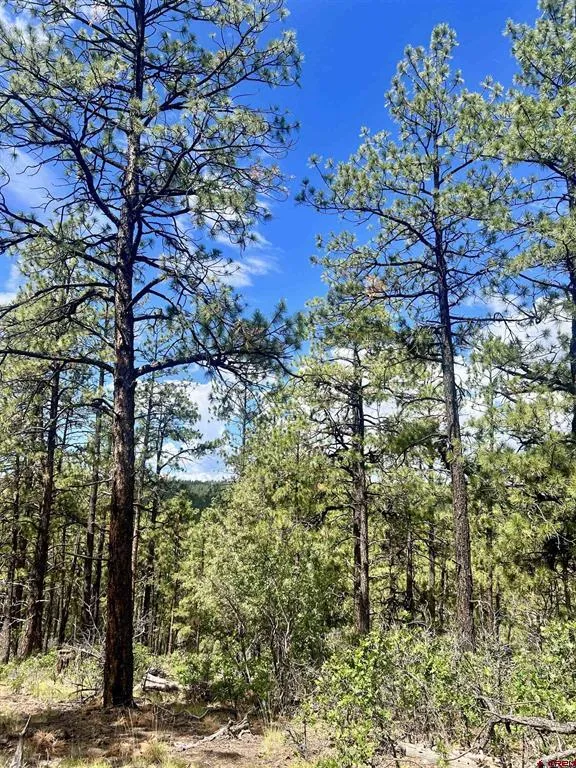 75 Rocky Ridge 2 Pagosa Springs, CO 81147