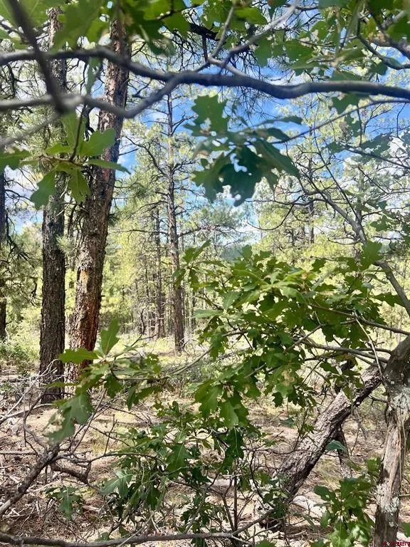75 Rocky Ridge 2 Pagosa Springs, CO 81147