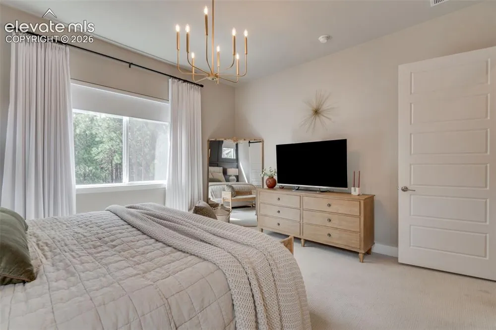 1005 Tree Bark Terrace Monument, CO 80132