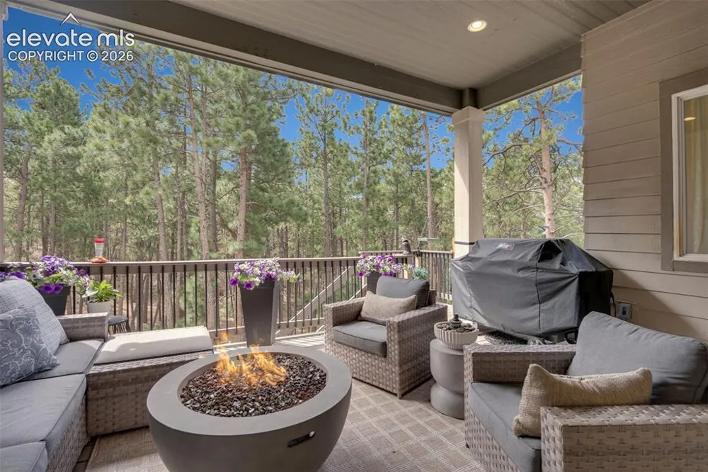 1005 Tree Bark Terrace Monument, CO 80132