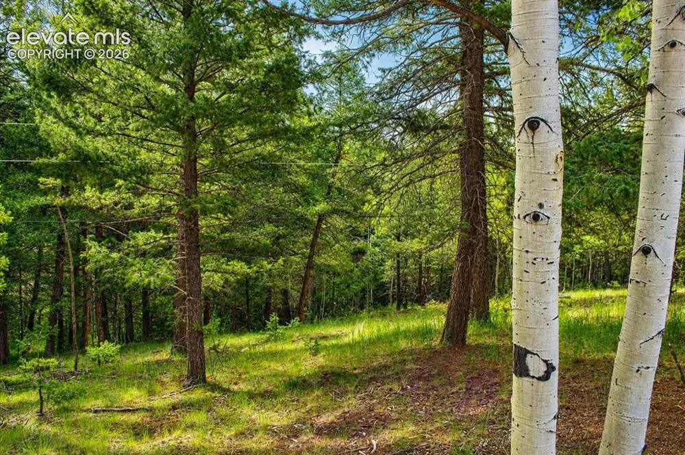 123 Ellis Lake Circle Divide, CO 80814