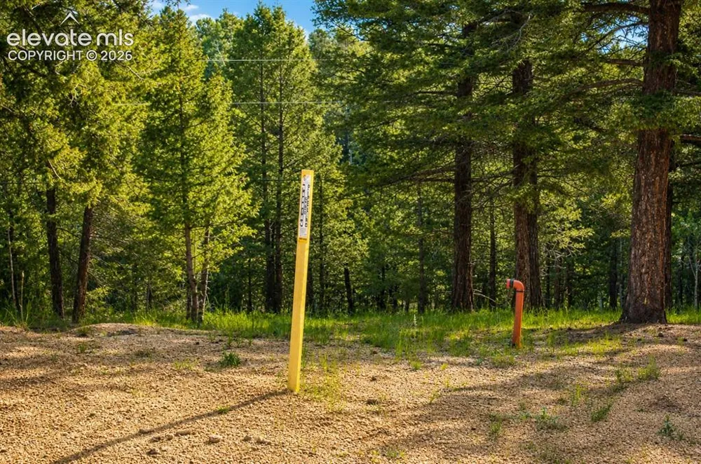 123 Ellis Lake Circle Divide, CO 80814