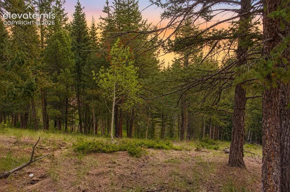 123 Ellis Lake Circle Divide, CO 80814
