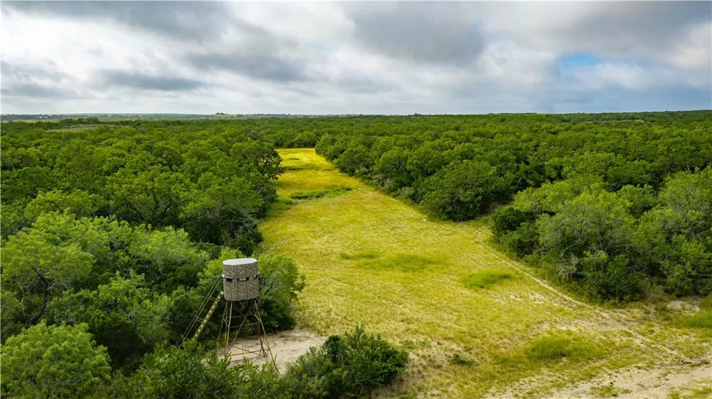 560 Fm 624 George West, TX 78022