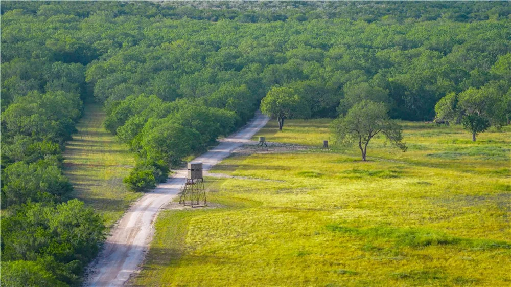 560 Fm 624 George West, TX 78022