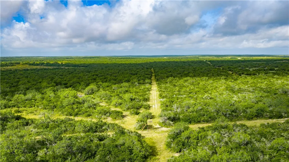 560 Fm 624 George West, TX 78022