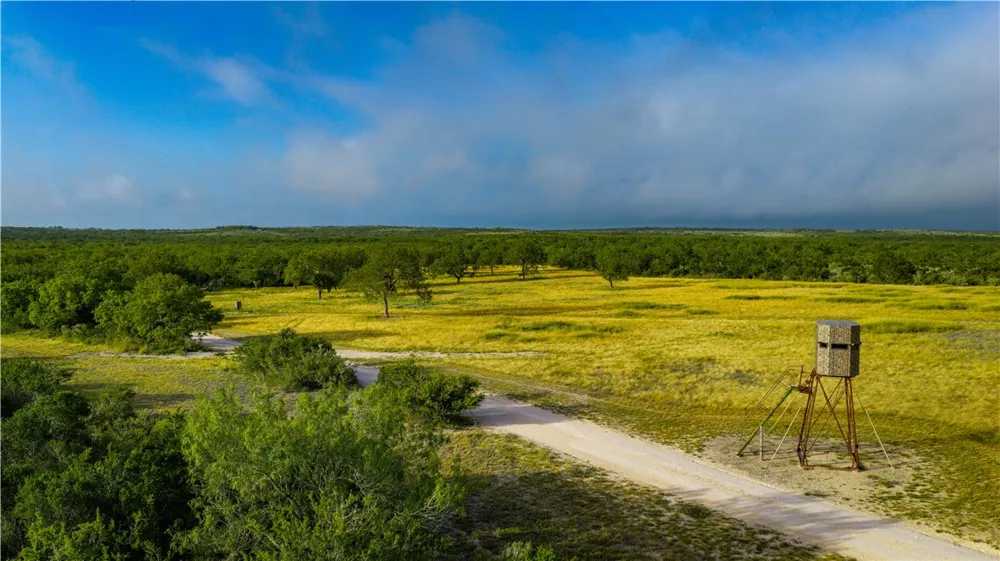 560 Fm 624 George West, TX 78022