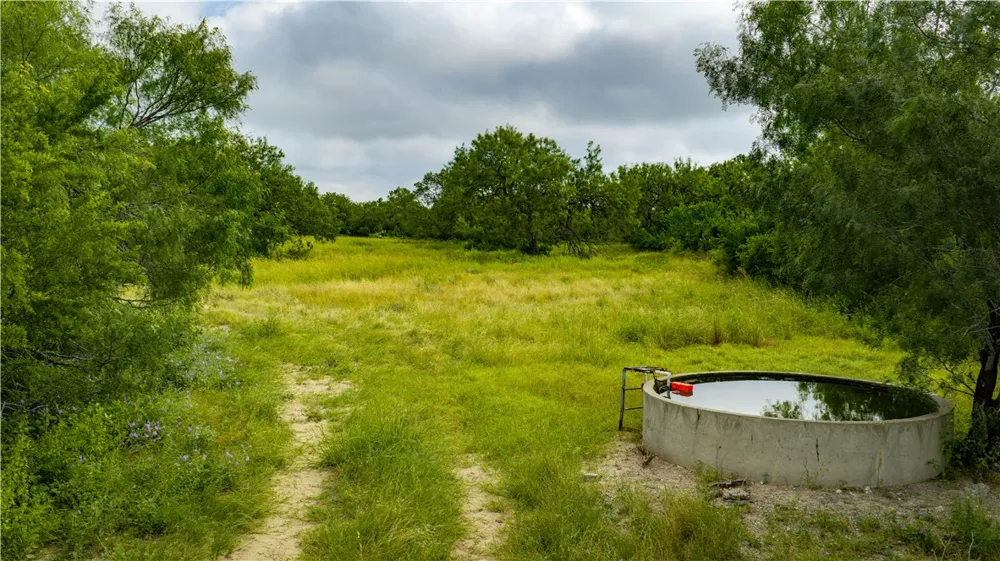 560 Fm 624 George West, TX 78022