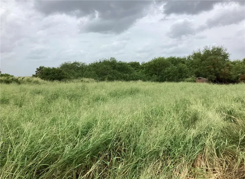 CTY RD 1140 Riviera, TX 78379