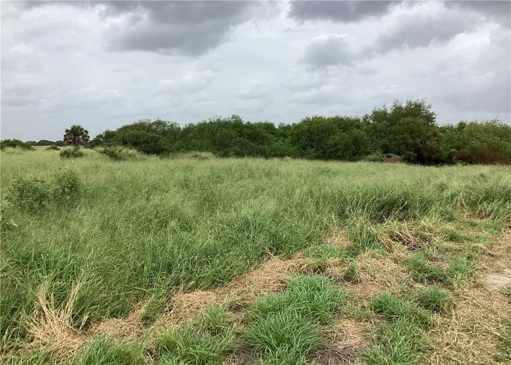 CTY RD 1140 Riviera, TX 78379