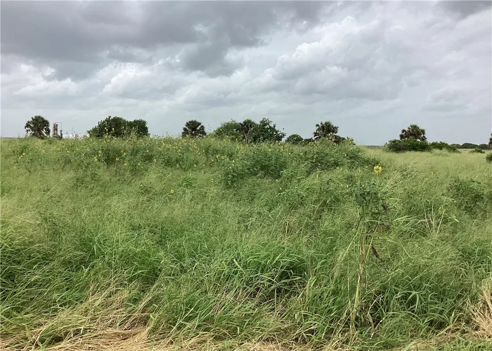 CTY RD 1140 Riviera, TX 78379