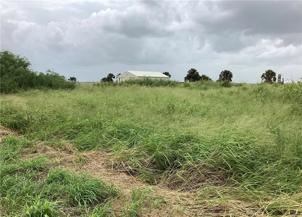 CTY RD 1140 Riviera, TX 78379