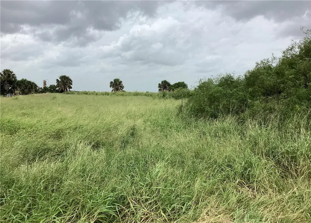 CTY RD 1140 Riviera, TX 78379