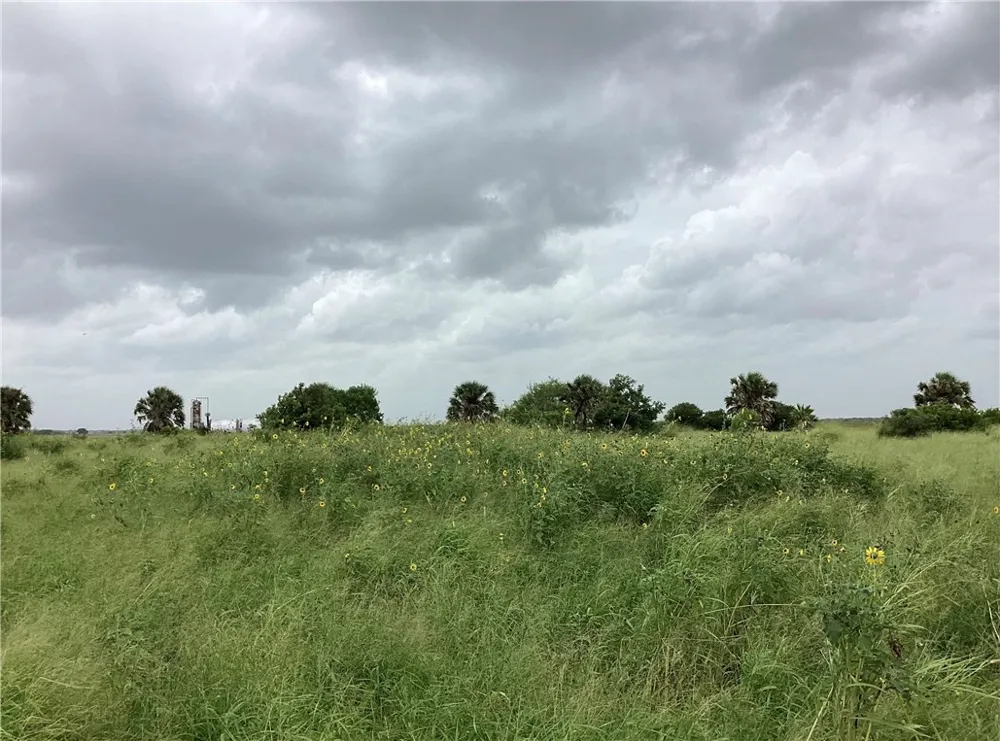 CTY RD 1140 Riviera, TX 78379