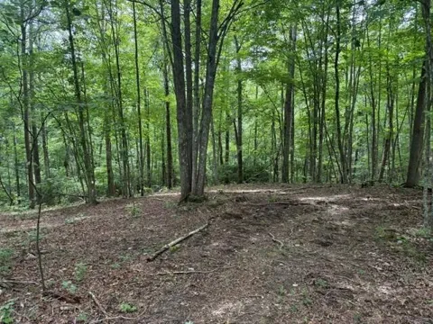 3 S Pittsburg Mountain Road