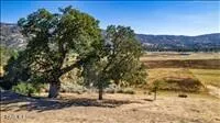 23700 Dart Drive