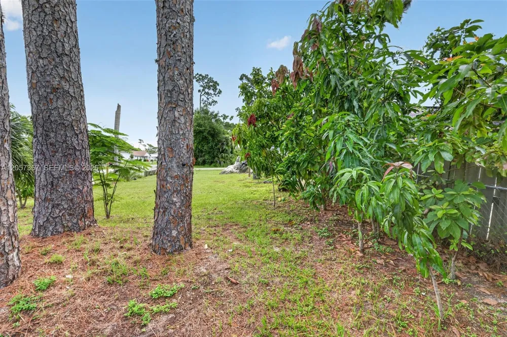 1041 Sanger Street Port Charlotte, FL 33952